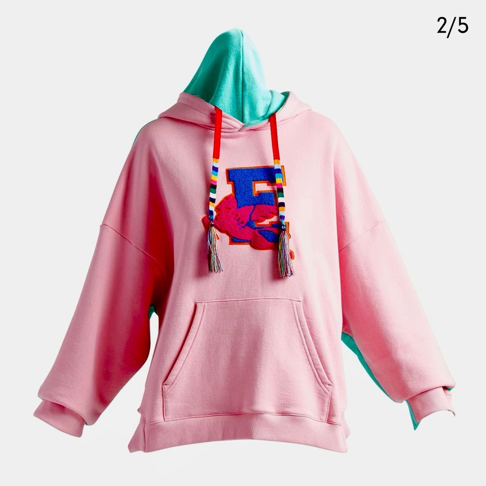 Etro Bycolor Hoodie